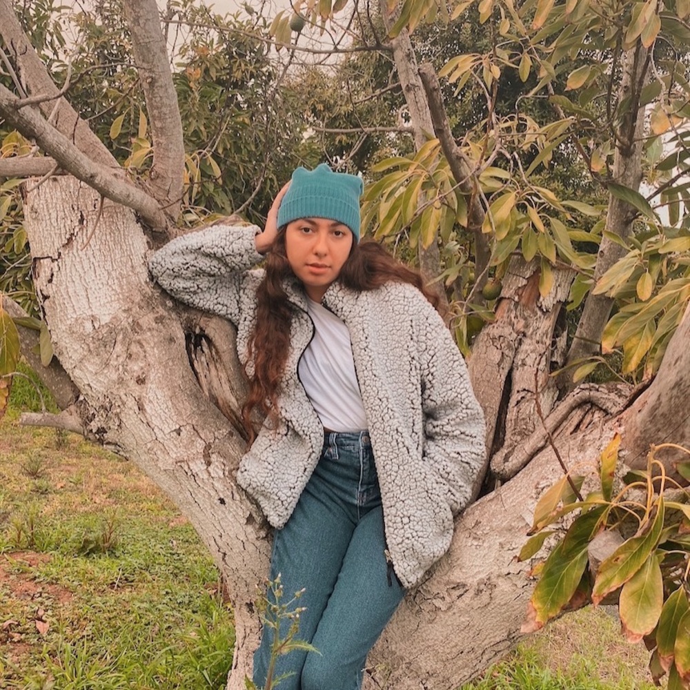 Teddy Jacket